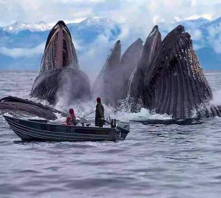 Svalbard, Norway 😍😍