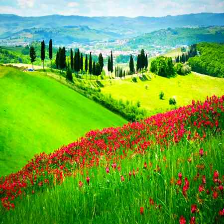 Hlo friends