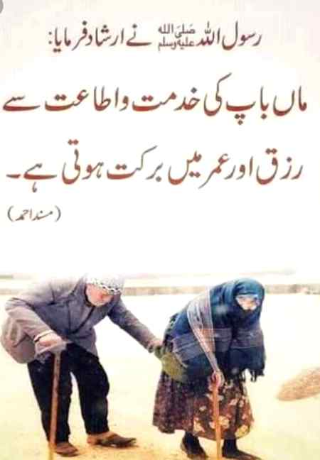 Sending by fareed ahmed shaikh