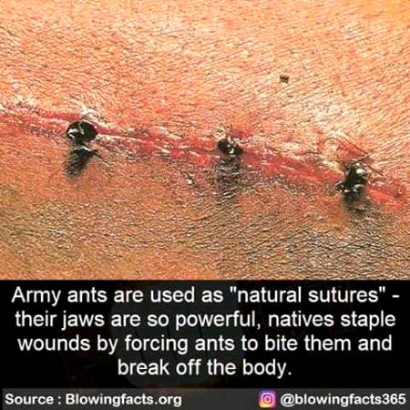 Unbelievable facts 💥💥