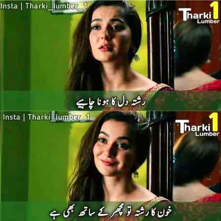 Khoon ka rishta to machar k 7 b hai