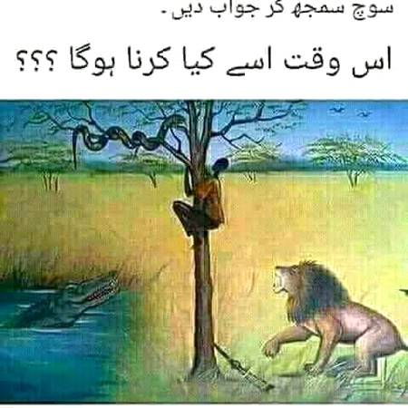...ANYBODY KNOW...