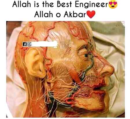 !❤❤❤ Allah o Akabar❤❤❤!