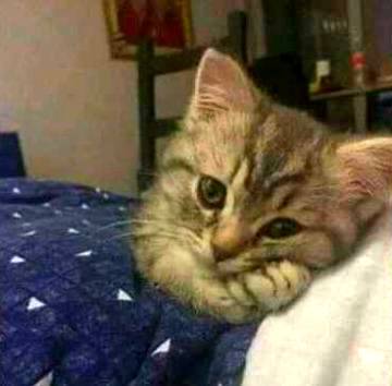 Jase ma tik ni wse meri catu bi tik ni ajkl😣😣😣