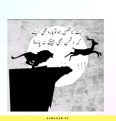 Bilkul...,🌹