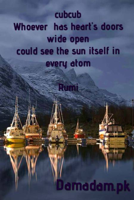 Rumi's words