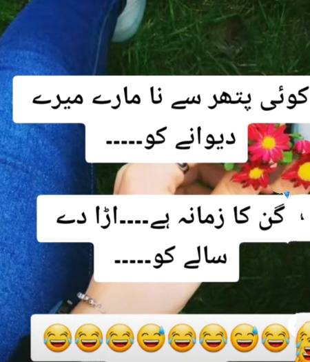 کوٸی پتھر نہ مارے میرے دیوانے کو