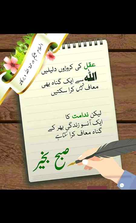 Asslm o alikm..❤❤