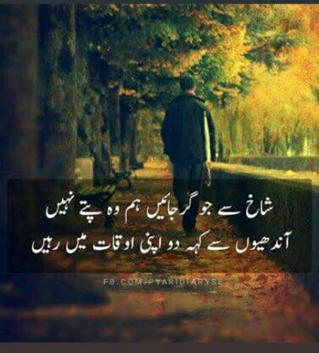 ضد میں ہم سے زیادہ کوئی مقابلہ نہیں کر سکتا اور ڈھیٹ تو ہم رج کے ہیں😏😏😋