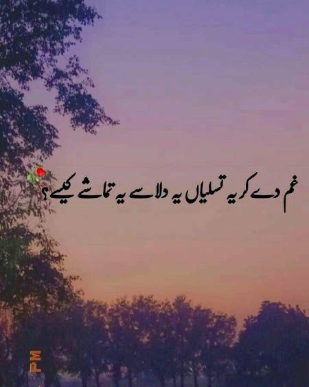 (｡•́︿•̀｡)🤷(｡•́︿•̀｡)