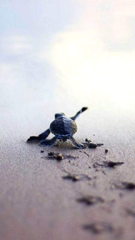 I believe i can fly😉