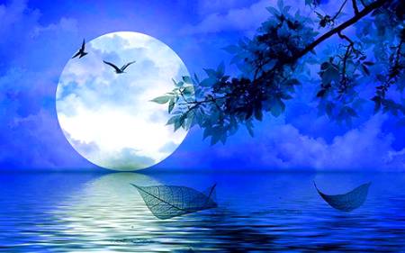 Beautiful view of full moon