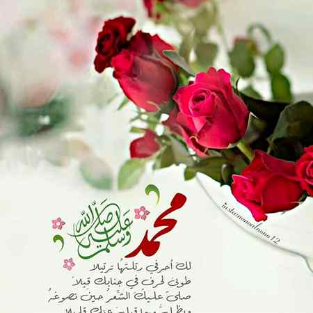 Asslam-o-Alikum everyone