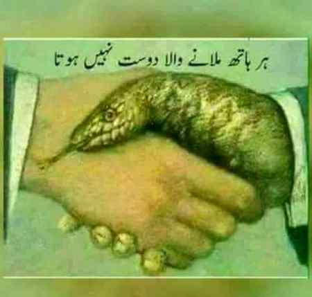 Beautiful sentence