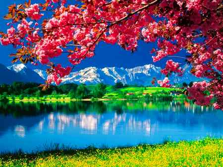 Ya haseen nazaray tera Saath maangtay hay jaaana๐น๐น๐น๐น