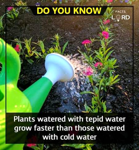 Unbelievable facts 💥💥