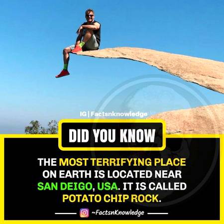 DID YOU KNOW??