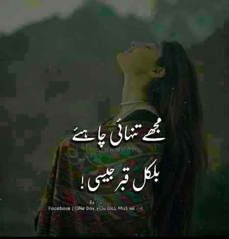 مجھے تنہائی چاھیے بلکل قبر جیسی