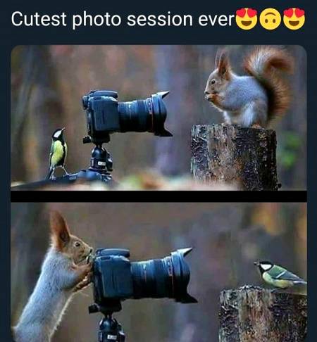cutest photo 😍😍