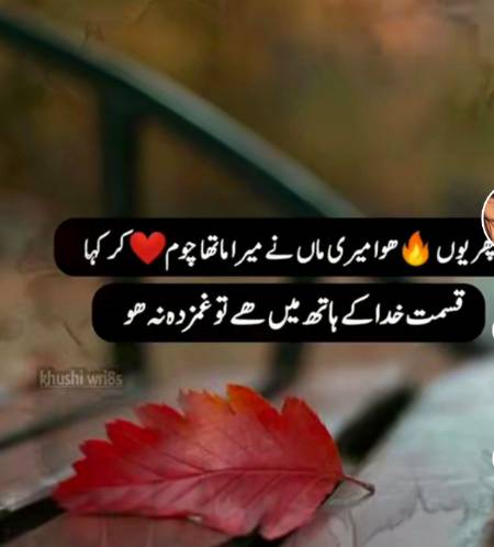 Sdqy apni maa k🌹😘🖤