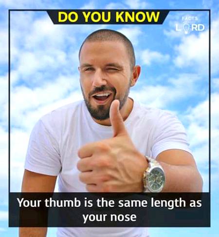 Unbelievable facts