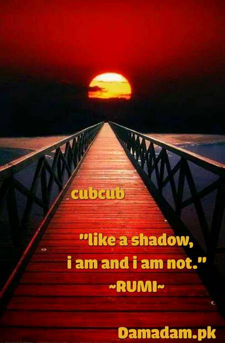 Rumi's words
