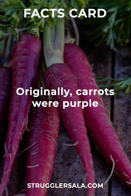 Do you know that about carrots
