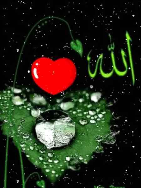 ❤دلوں میں 💖اللهﷻ سما🍃 جائے تو آنکھیں غم 🍃میں بھی💕 مسکراتی ہے