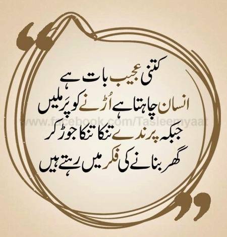 🌹🌹🌹صلی اللہ علی حبیبہ محمد نور من نوراللہ وعلی آلہ واہل بیتہ وعترتہ وازواجہ وصحبہ وجدہ وذریتہ و کل امتہ وبارک وسلم کثیراً کثیرا و دائماً ابدا 🌹🌹🌹