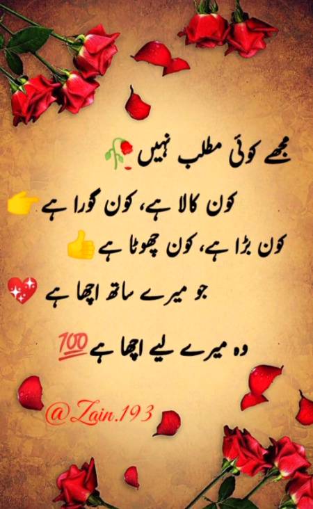 ◉‿◉. (◕ᴗ◕) ◉‿◉