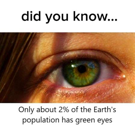 Fact knowledge