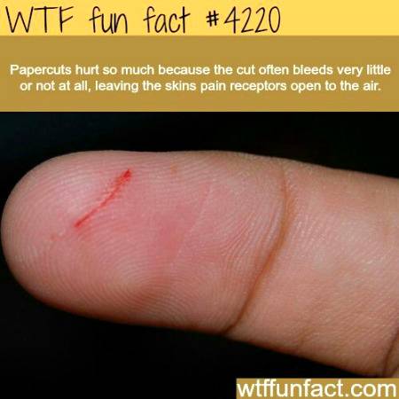 DID YOU KNOW ?