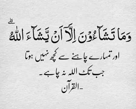 Beshak 😊😊😊😊