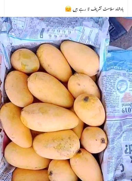Aye Mango.....wo b mazy k
