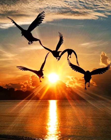 °•ایکـــــ شخصــں بــن کـــر نـہ جیـو بلکــہ
°•ایکـــــ شخصیتـــــ بــن کـــر جــیو
°•کیــونکــہ شخصـں تـــو مــــر جـاتــا ہـے
°•مگـر شخصیتــــــ ہمیشــہ زنــدہ رہتــــی ہـے ..