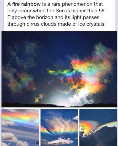 Fire Rainbow 🔥🔥