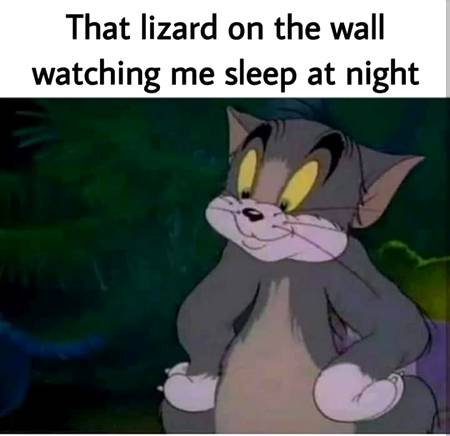 Winking slowly