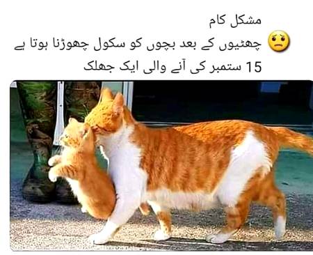 کرونا کی وجہ سے آرام طلب بچوں کو اسکول لیکر جانے کا ایک منظر۔۔۔
