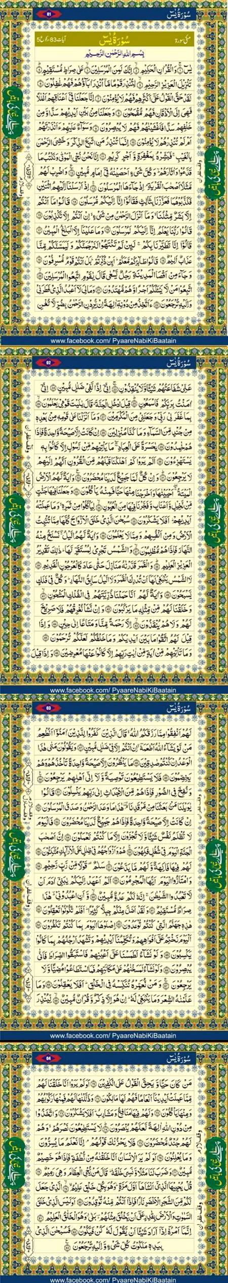 🌹🌹🌹صلی اللہ علی حبیبہ محمد نور من نوراللہ وعلی آلہ واہل بیتہ وعترتہ وازواجہ وصحبہ وجدہ وذریتہ و کل امتہ وبارک وسلم کثیراً کثیرا و دائماً ابدا 🌹🌹🌹