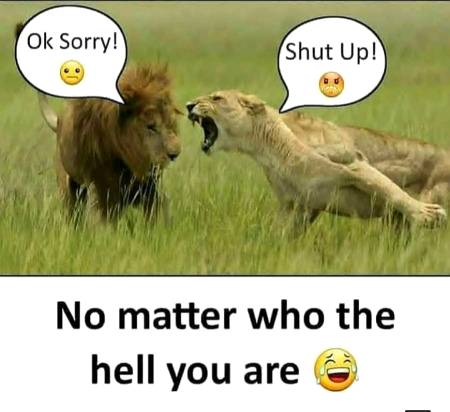 Wife is Wife