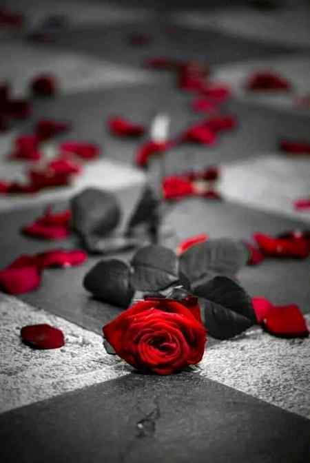وُہ کہتا ہے کہ اُس نے فقط بات کی تھی
میں کہتی ہوں__ مُجھے خَنجر لگا ہے 😞