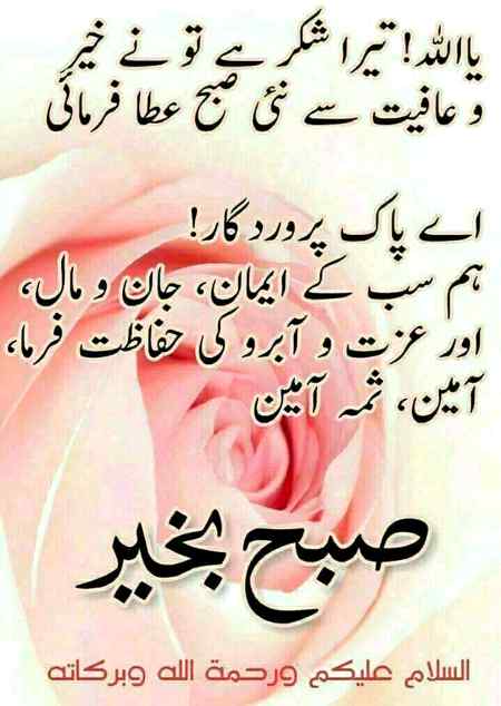 🌹🌹 .q1 🌹🌹