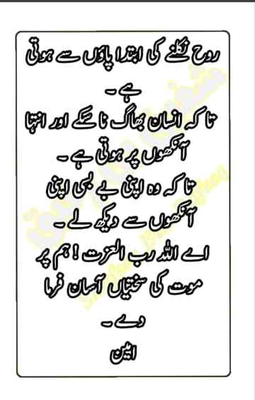 حرم کی زمین سامنے ہو کعبہ
ہاتھ میں قرآن دل میں ایمان
زباں پر ہو کلمہ اور نکل جائے جان
💞
Ameen sumameen
Anum Malik 😇