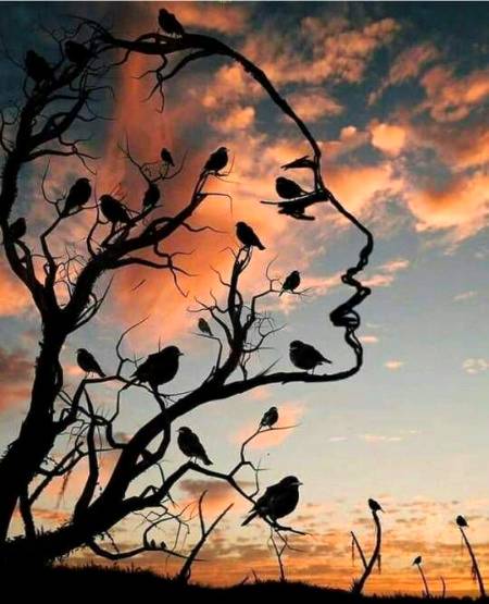 Hidden face.. Beautiful picture