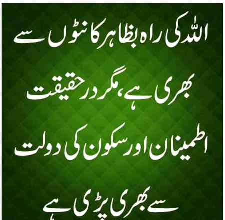 🌟 بیشک اللہ کا در سب دروں سے بہتر ہے🌟