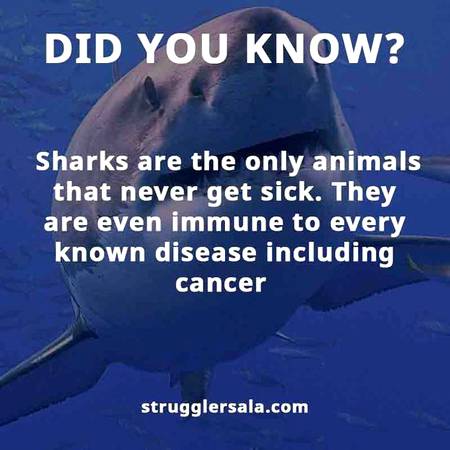 Do you know that??