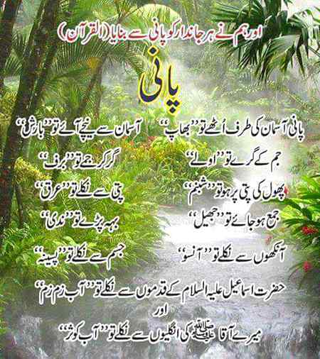 بے شک سب تعریفیں اللہ کے لئے ہی ھیں ❤