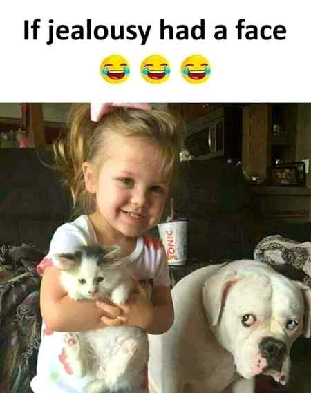 A jealous dog..