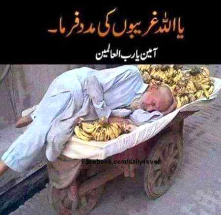 Sending by fareed ahmed shaikh
