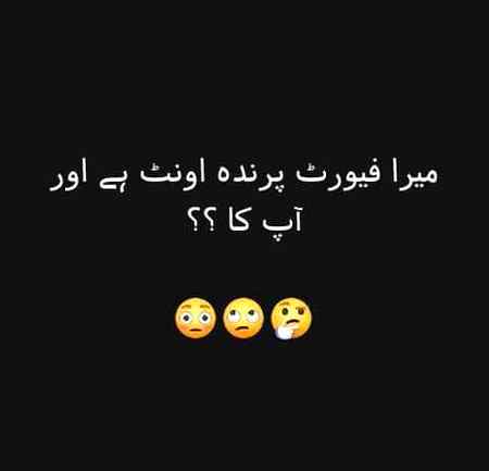 BoLo___boLo😘😘😜